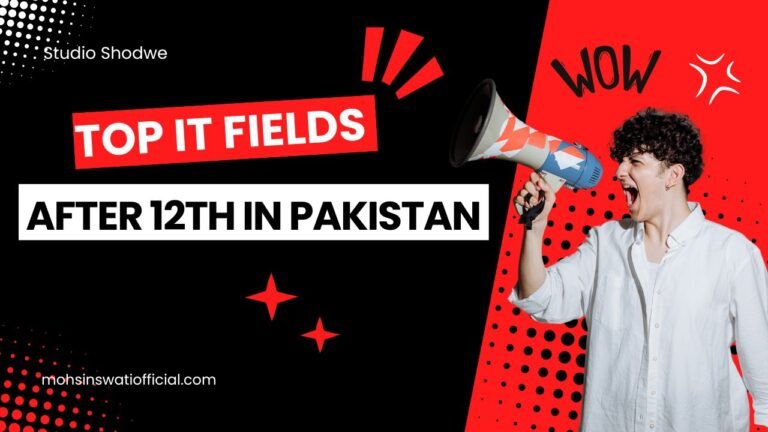 Top IT Fields to Pursue After 12th in Pakistan 2024